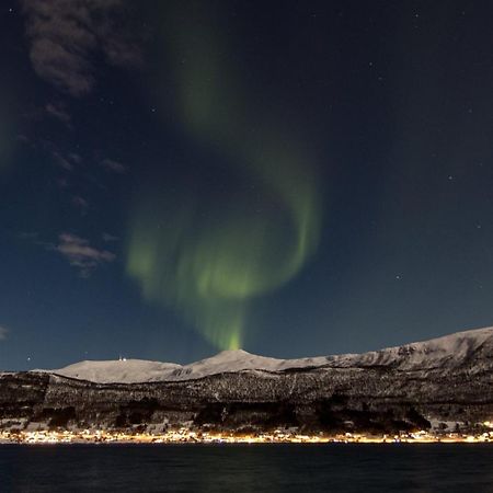 Veien Til Senja Apartamento Finnsnes Exterior foto