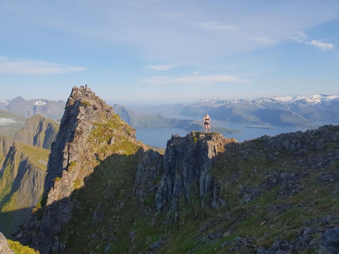 Veien Til Senja Apartamento Finnsnes Exterior foto